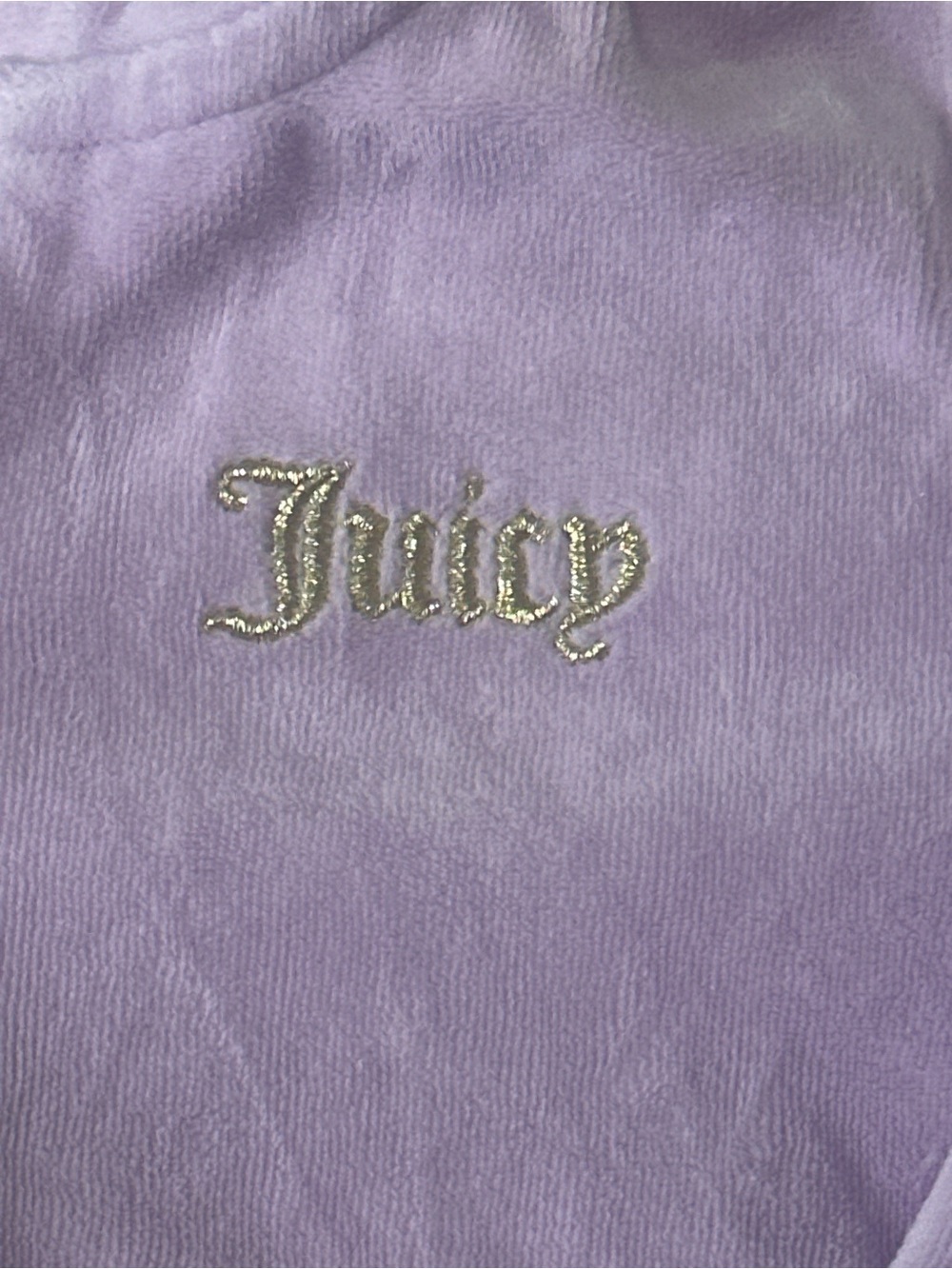 Juicy Couture Kids Lavender Embroidered Velour Pullover 4t